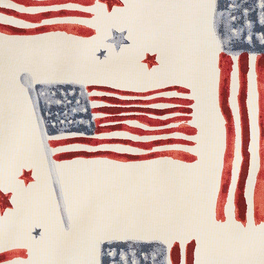 American Flag Organic Cotton Sleep & Play: 6-9M